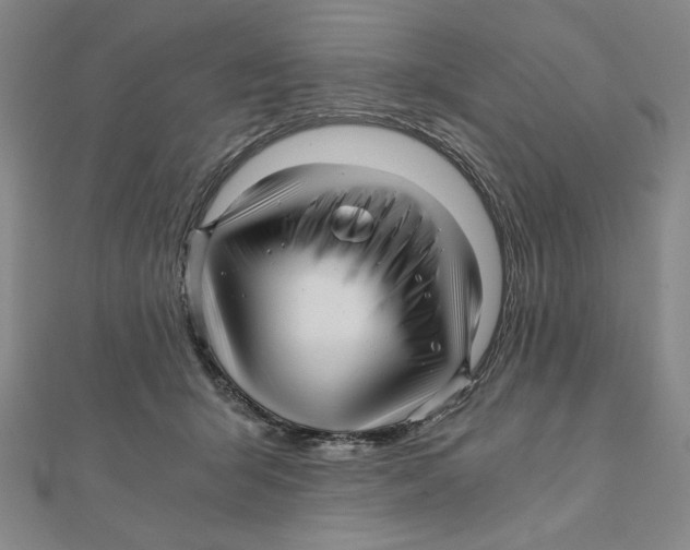 X0000111120415200907281033