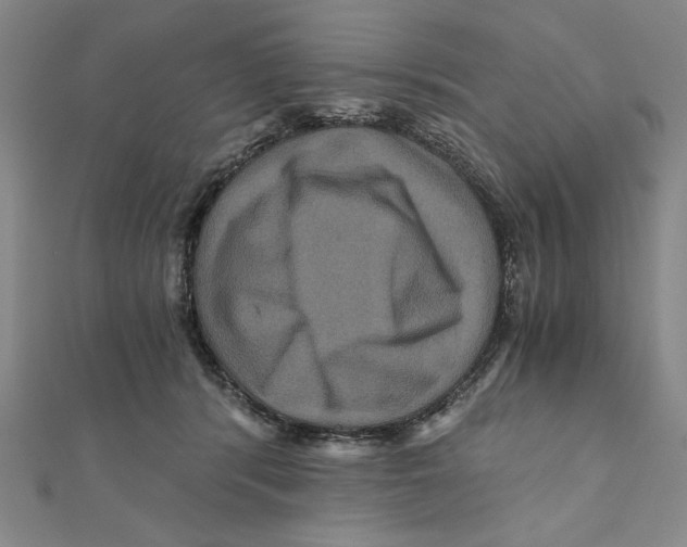X0000111120416200907281033