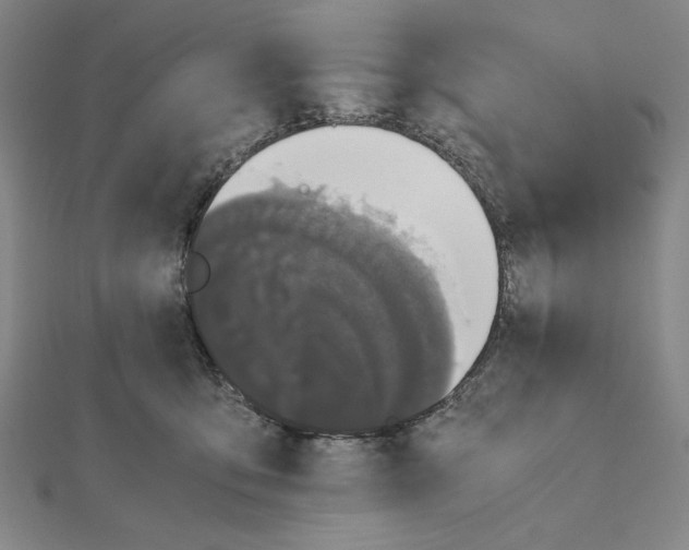 X0000111120419200907281033