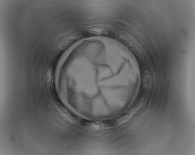 X0000111120420200907281033