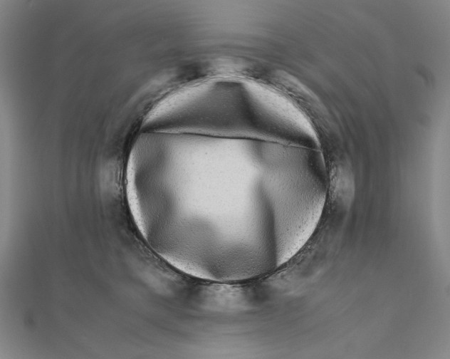 X0000111120421200907281033