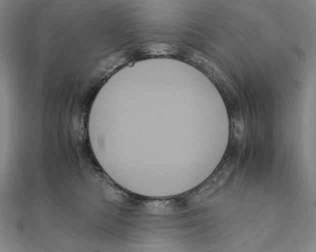 X0000111120422200907281033