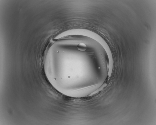 X0000111120423200907281033