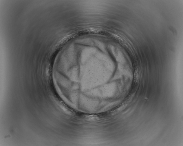 X0000111120424200907281033