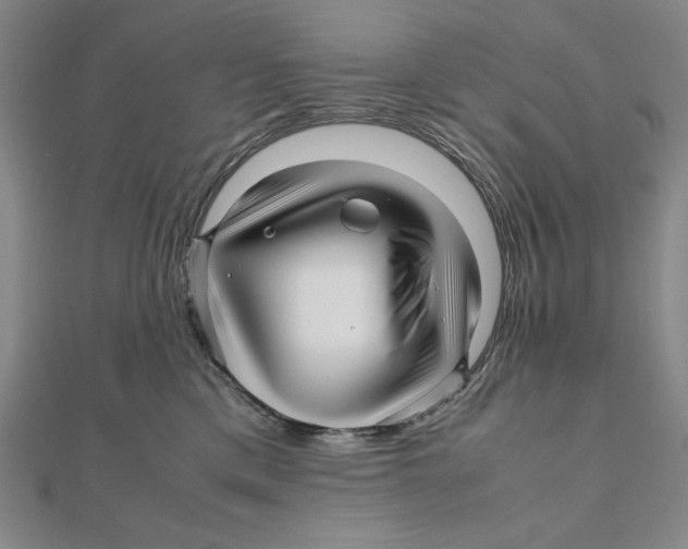 X0000111120425200907281033