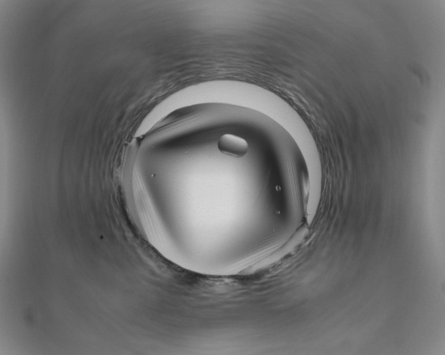 X0000111120427200907281033
