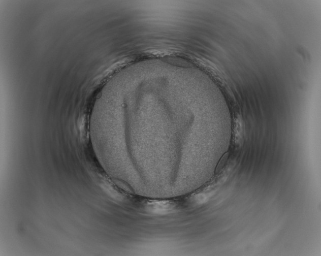 X0000111120428200907281033