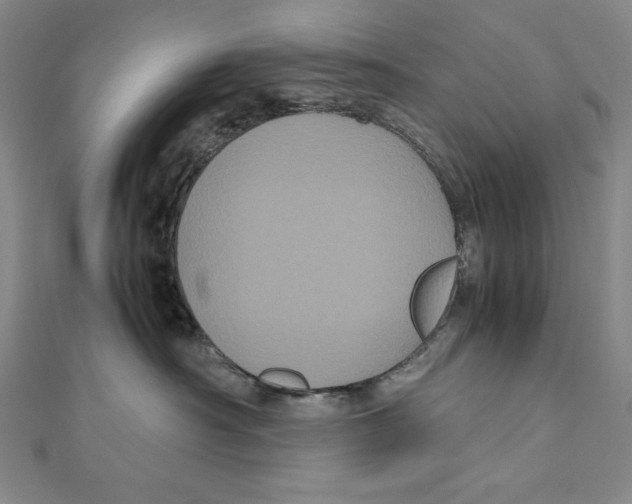 X0000111120430200907281033