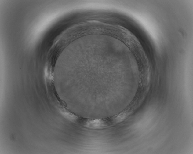 X0000111120431200907281033