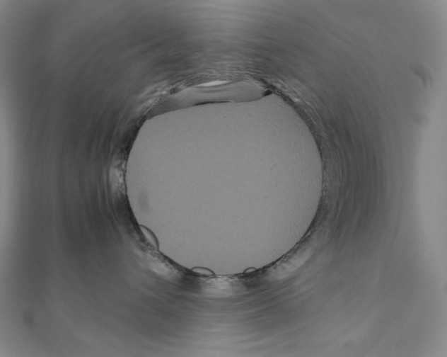 X0000111120432200907281033
