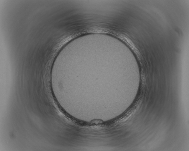 X0000111120433200907281032
