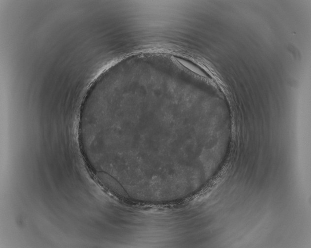 X0000111120434200907281032