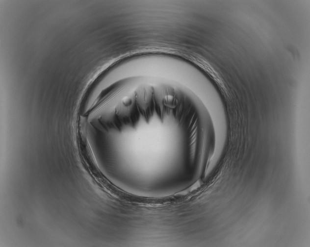 X0000111120436200907281032