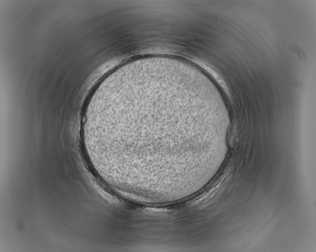 X0000111120437200907281032