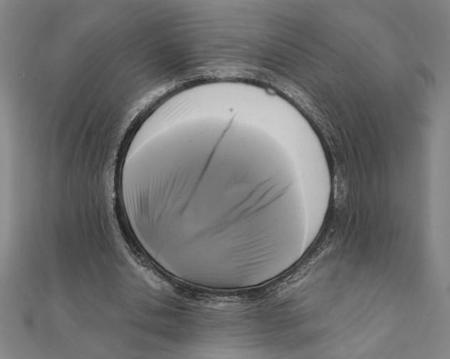 X0000111120438200907281032