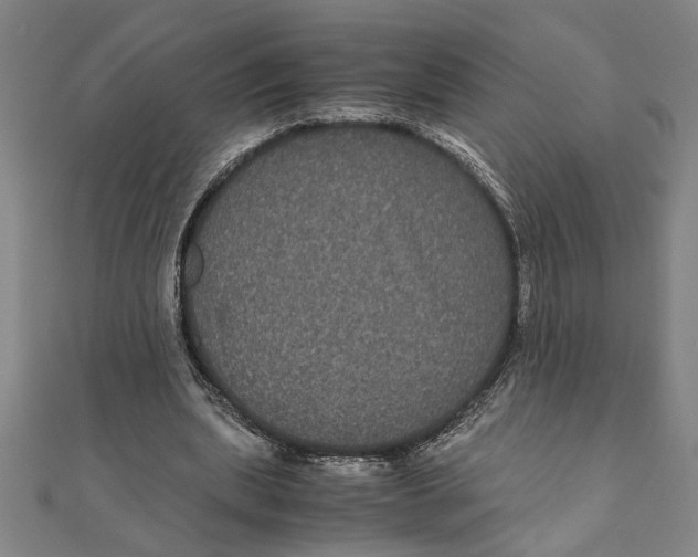 X0000111120439200907281032