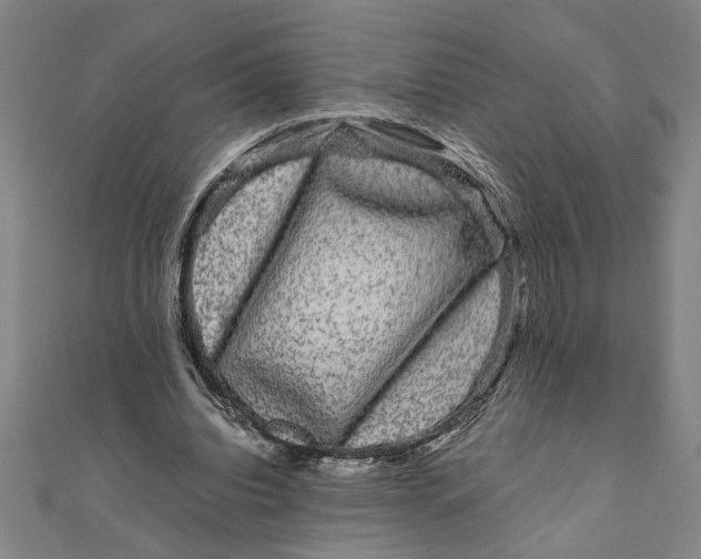 X0000111120440200907281032