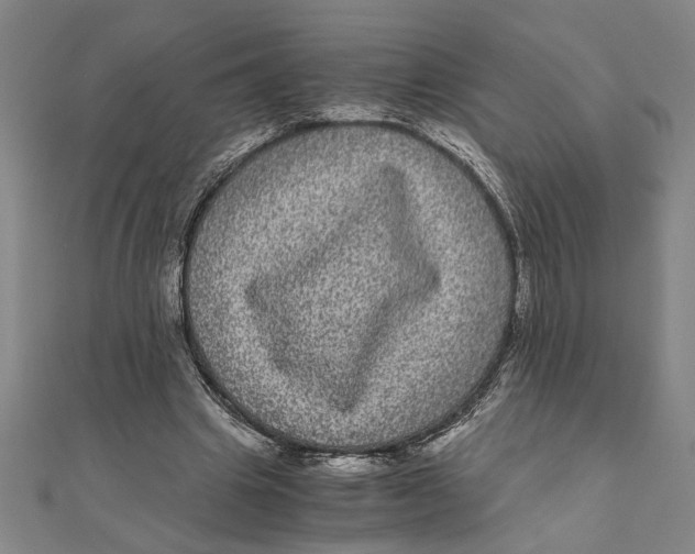 X0000111120441200907281032