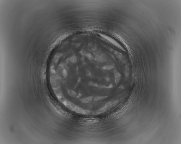 X0000111120443200907281032