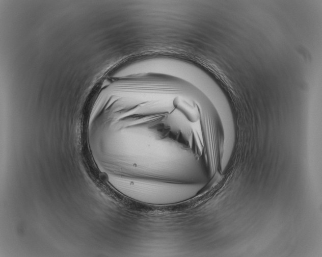 X0000111120444200907281032