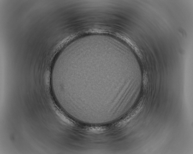 X0000111120445200907281032