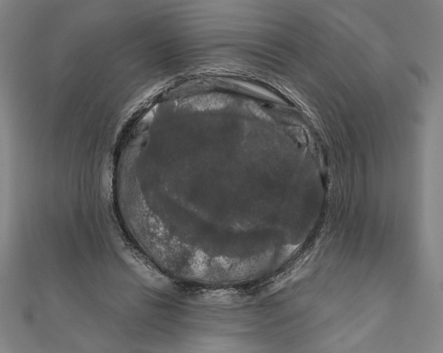 X0000111120446200907281032