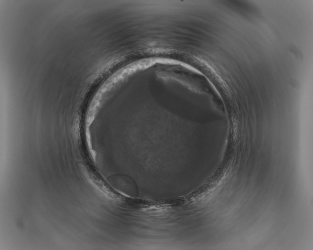 X0000111120447200907281032