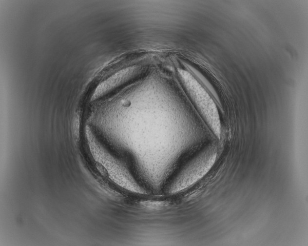 X0000111120448200907281032