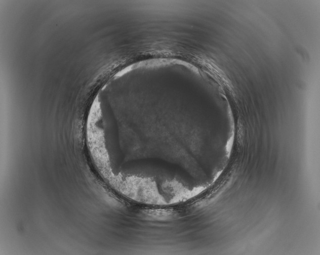 X0000111120449200907281032