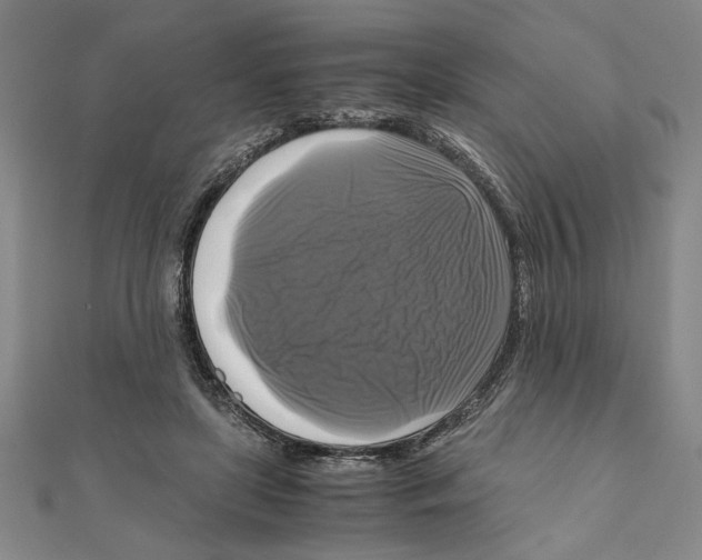 X0000111120451200907281032