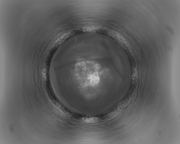 X0000111120452200907281032