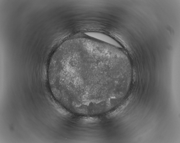 X0000111120453200907281032