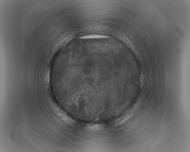 X0000111120454200907281032