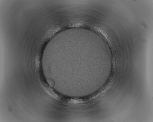 X0000111120455200907281032
