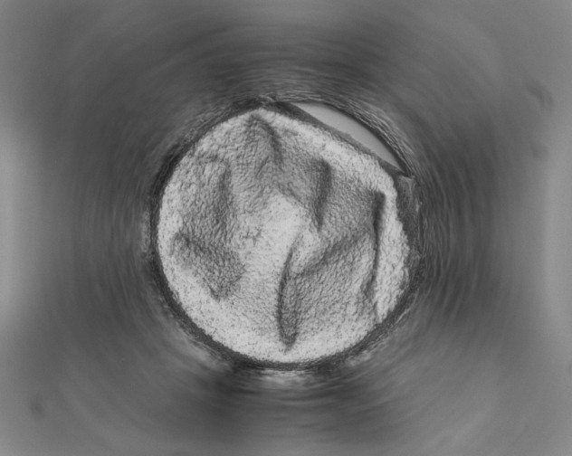 X0000111120457200907281032
