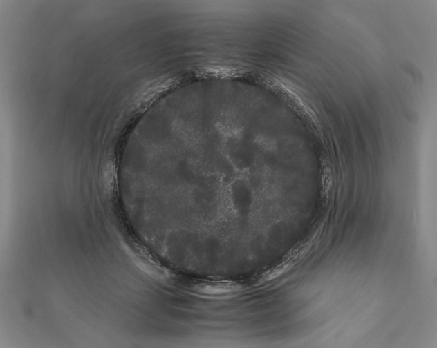 X0000111120459200907281032