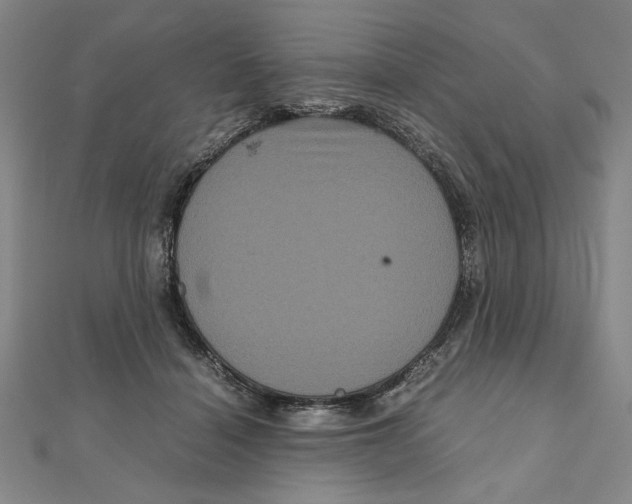 X0000111120460200907281032
