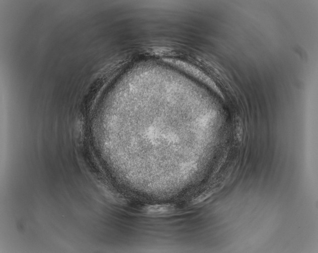 X0000111120461200907281032