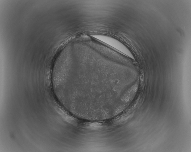 X0000111120462200907281032