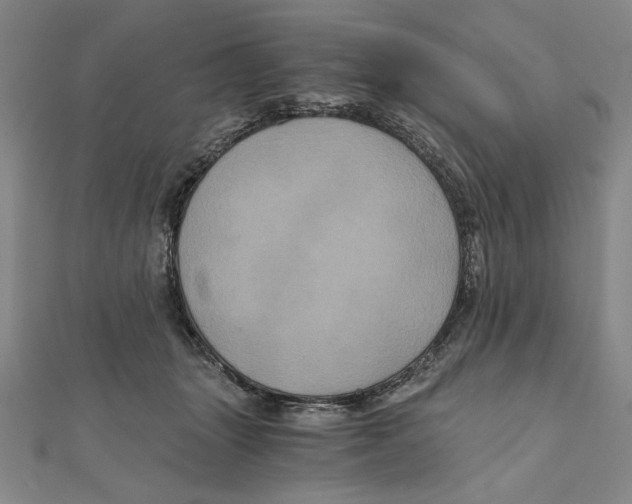 X0000111120463200907281032