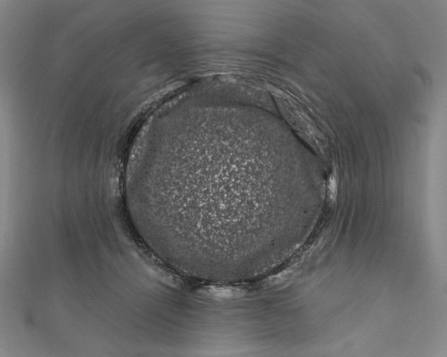 X0000111120464200907281032