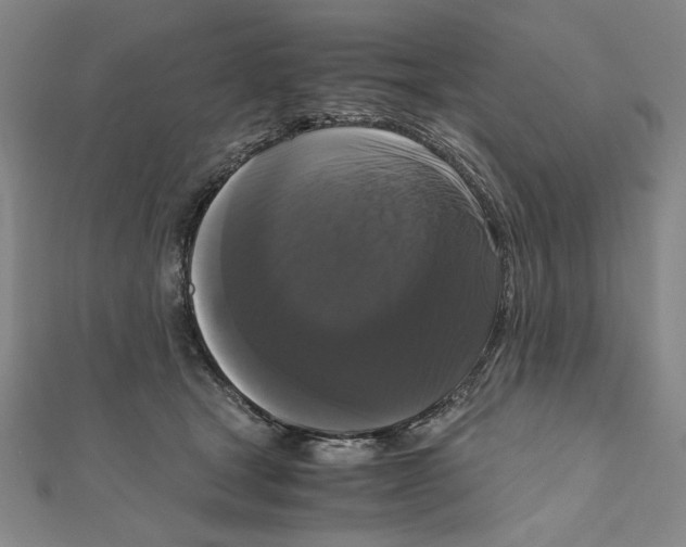 X0000111120465200907281032