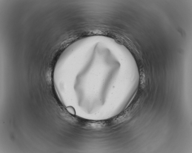 X0000111120466200907281032
