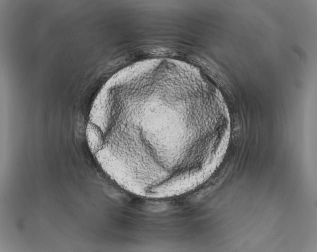 X0000111120469200907281032