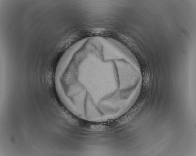 X0000111120470200907281032