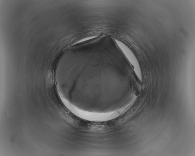 X0000111120471200907281032