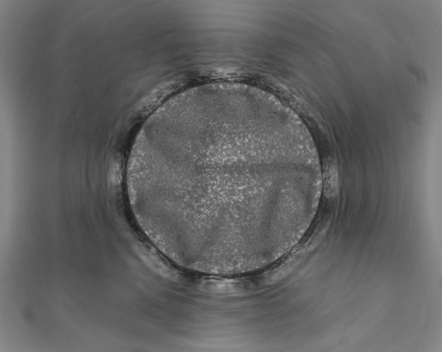 X0000111120472200907281032