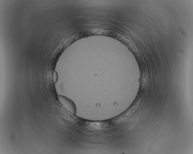 X0000111120473200907281033