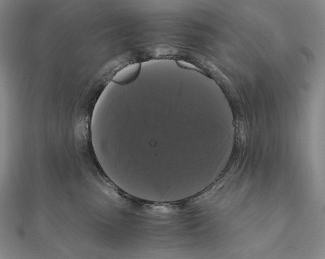 X0000111120475200907281033