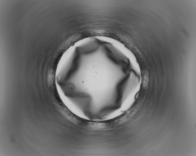 X0000111120476200907281033